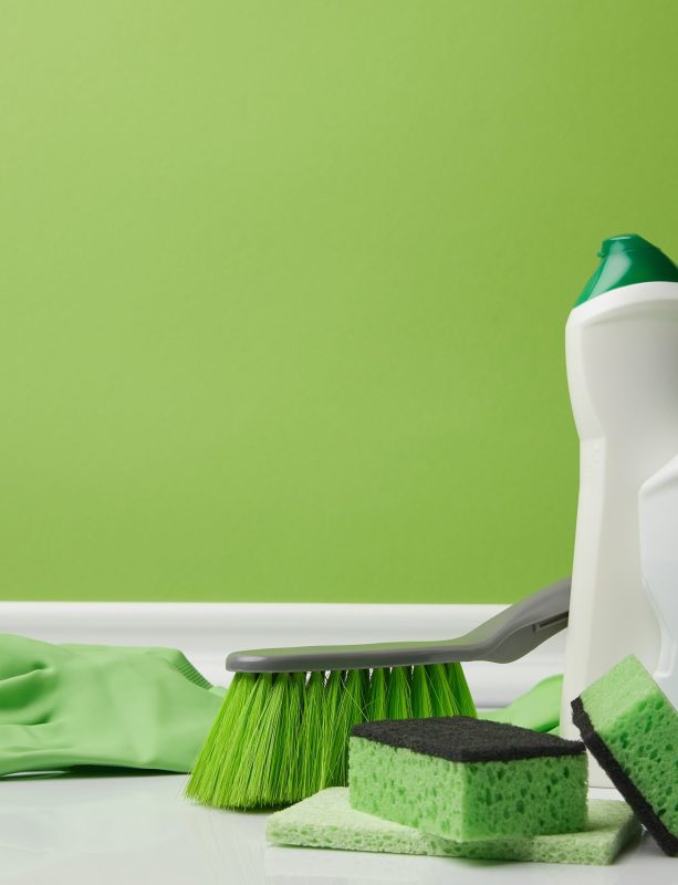 brush and domestic supplies for spring cleaning on green